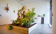 Image of Community Takeover at John Hansard Gallery showing a bed of vegetation growing in the shape of a conservatory.