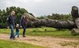 Family Walks at Lepe Country Park