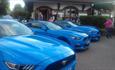A Mustang Car Meet at Port Solent