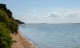 Royal Victoria Country Park's Beach