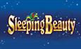 Poster illustration for Sleeping Beauty at the New Theatre Royal
