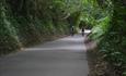 Two cyclists in Hampshire on Little Switzerland road cycling route