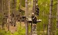 Go Ape at Moors Valley