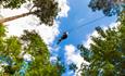 Go Ape - Southampton