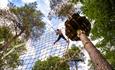 Go Ape at Moors Valley