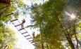 Go Ape at Moors Valley