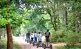Go Ape at Moors Valley