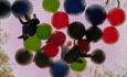 Go Ape at Moors Valley