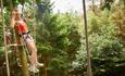 Go Ape at Moors Valley