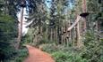 Go Ape trail at Itchen Valley Country Park