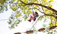 Go Ape - Southampton