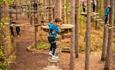 Go Ape at Moors Valley