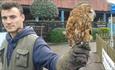 Birds of Prey at Port Solent