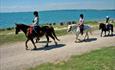 Ponies along shore