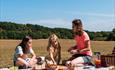 Picnics at River Hamble Country Park