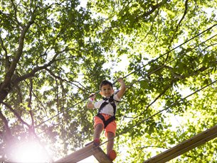 Go Ape at Alice Holt Forest