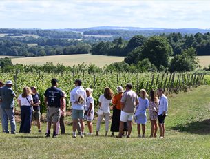 Hattingley Valley Wines Tour