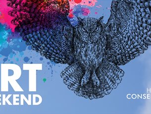 an owl flying at the screen with splashes of paint behind