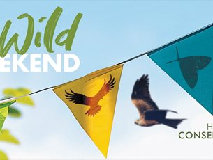 Big Wild Weekend at Hawk Conservancy Trust