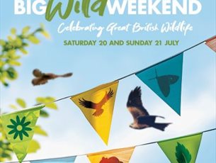 Big Wild Weekend at Hawk Conservancy Trust