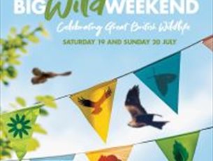 Big Wild Weekend at Hawk Conservancy Trust
