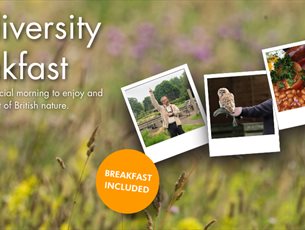 A meadow background with three polaroid images of a man, a tawny owl and a cooked breakfast