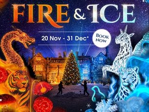 Christmas at Marwell