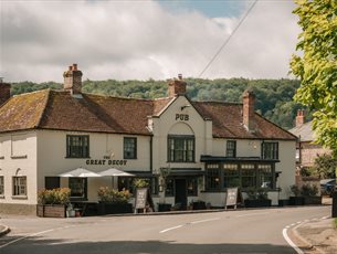 The Great decoy in Hampshire