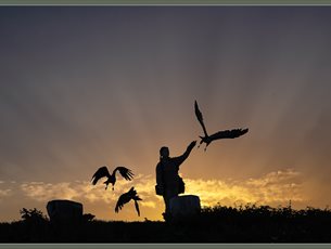 The Hawk Conservancy Trust