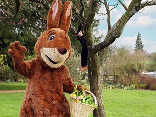 Easter Bunny at Marwell Zoo