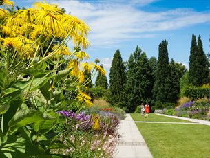 Sir Harold Hillier Gardens