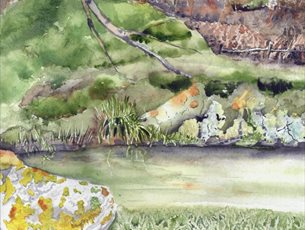 Introduction to Watercolour at Sir Harold Hillier Gardens