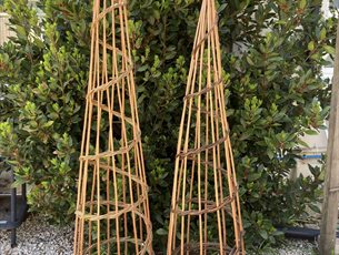 Wigwam Plant Support at Sir Harold Hillier Garden