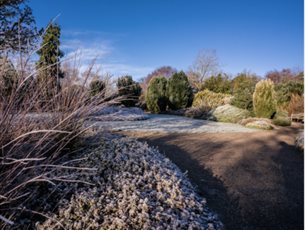 New Year's Day Guided Tour at Sir Harold Hillier Garden