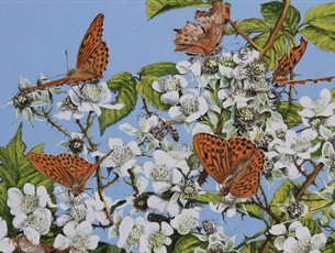 New Forest Art Society - Art Exhibition at Sir Harold Hillier Gardens