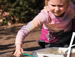 Pond Dipping at Sir Harold Hillier Gardens