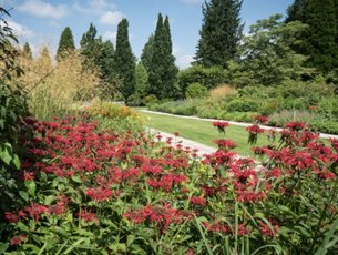 Mid-Summer Evening Supper at Sir Harold Hillier Gardens