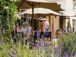 Celebrate Father's Day at Sir Harold Hillier Gardens