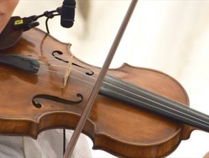 Stage & Screen - Orchestral Picnic Concert at Sir Harold Hillier Gardens