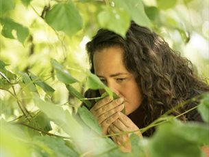 The scent of a plant