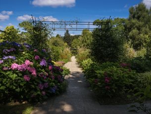 September Evening Supper & Guided Tour at Sir Harold Hillier Gardens