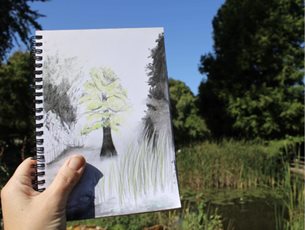 Sketch of tree