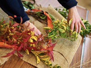 Autumn Foliage