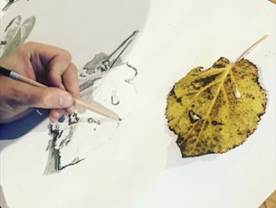 Autumn Seasonal Drawing at Sir Harold Hillier Gardens