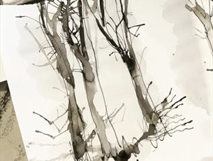 Winter Seasonal Drawing at Sir Harold Hillier Gardens