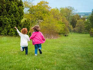 The Summer Superpower Trail at Sir Harold Hillier Gardens