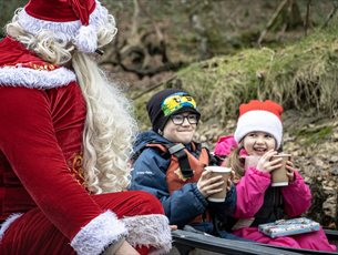 Christmas Canoe Paddle at New Forest Activities