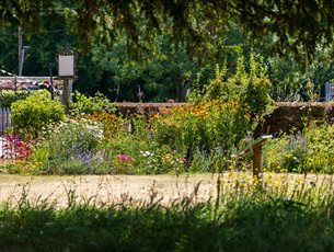 The garden at Jane Austen's House in summer 