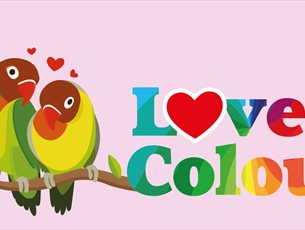 Love + Colour at Birdworld