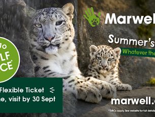 Marwell Zoo summer offer